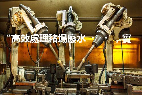 “高效處理豬場廢水，實(shí)現(xiàn)環(huán)保與資源利用”